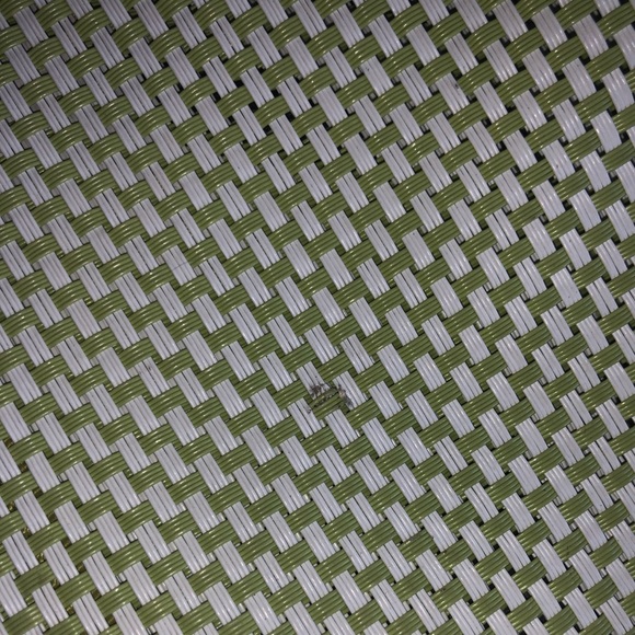 Crate&Barrel Green Tote Shopping Bag Carry All 19 1/2 x 15 1/2 - Picture 3 of 10